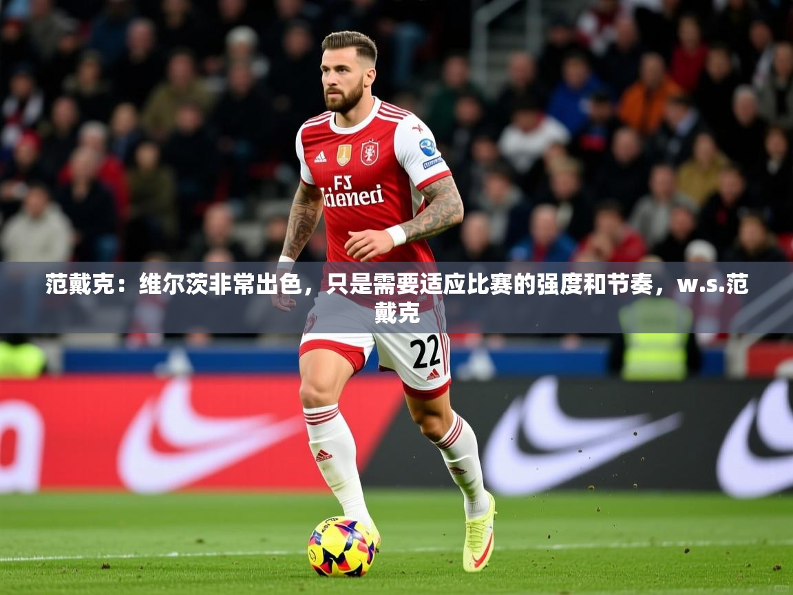 2025范戴克：维尔茨非常出色，只是需要适应比赛的强度和节奏，w.s.范戴克  第2张