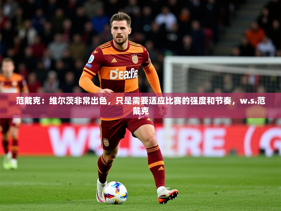 2025范戴克：维尔茨非常出色，只是需要适应比赛的强度和节奏，w.s.范戴克  第3张