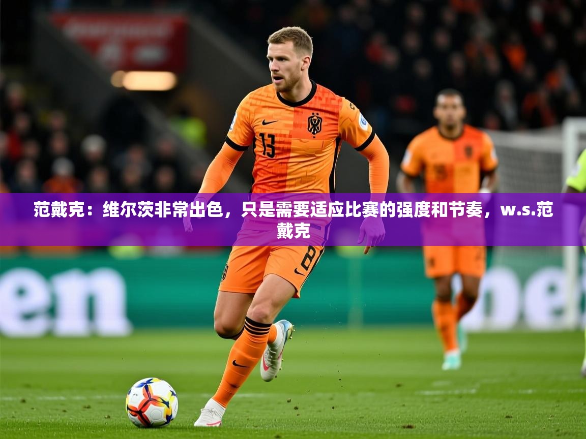 2025范戴克：维尔茨非常出色，只是需要适应比赛的强度和节奏，w.s.范戴克  第4张