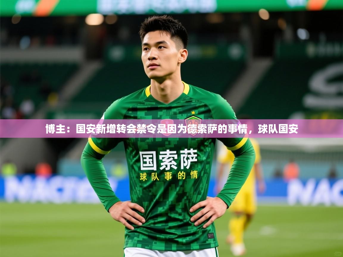 2025博主:国安新增转会禁令是因为德索萨的事情,球队国安 第3张