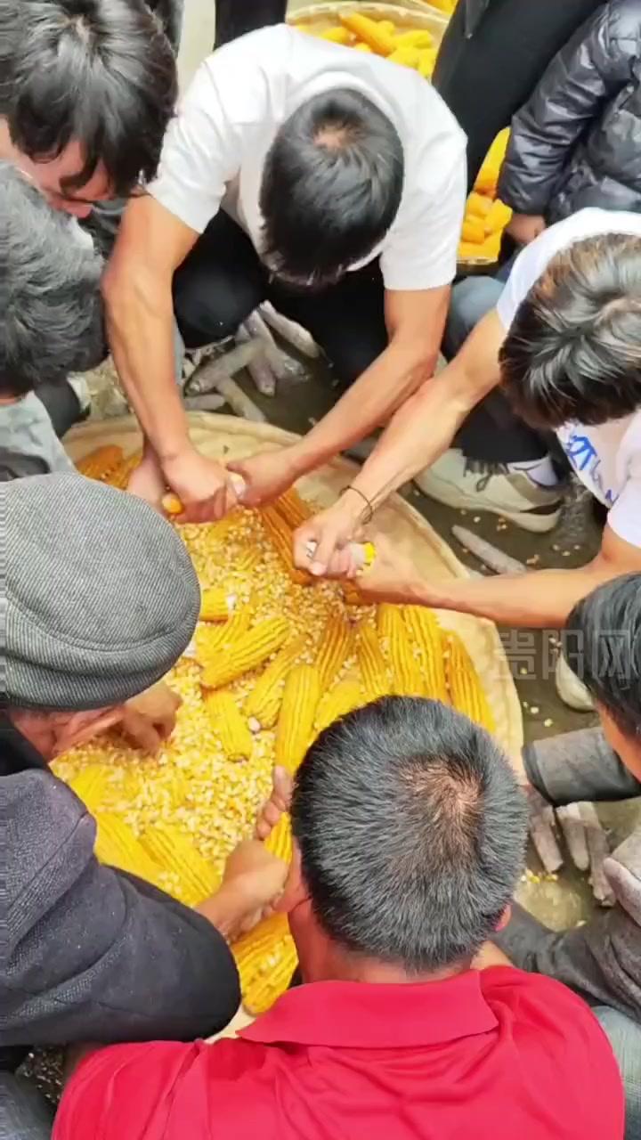意外事件持续发生，比赛如何收场？的简单介绍